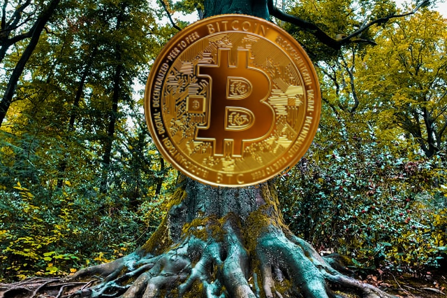 Bitcoin Upgrade, Codename “Taproot”